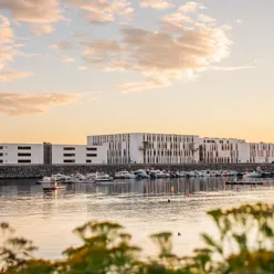 En vannmasse med bygninger langs den