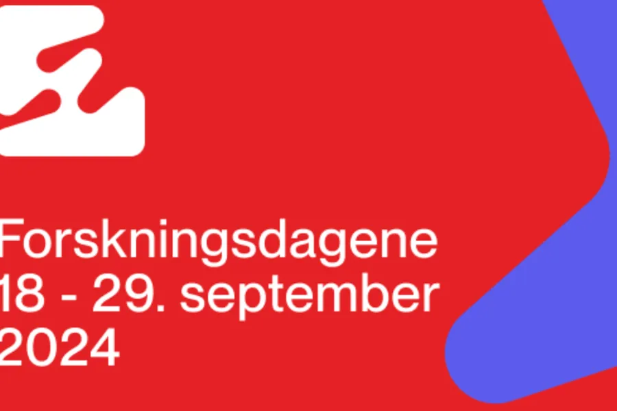 Grafisk brukergrensesnitt, tekst, applikasjon
