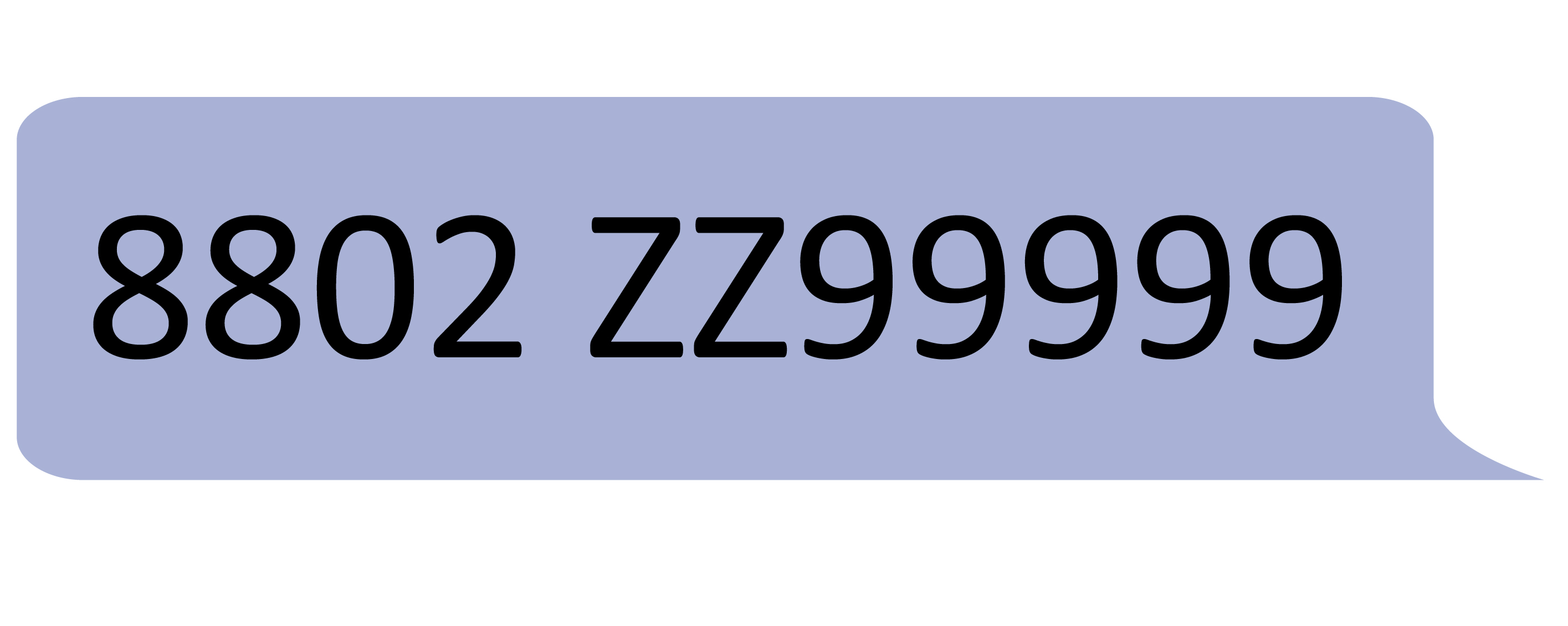 SMS: 8802 ZZ99999