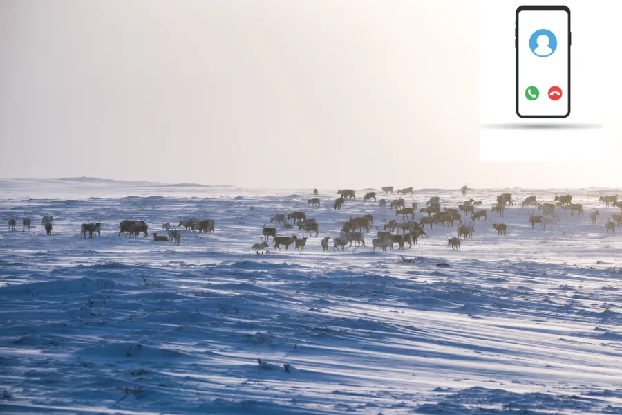Et snødekt landskap med en vannmasse og bygninger i det fjerne