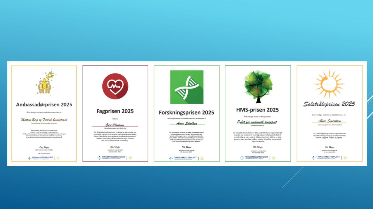 Montasje med årets diplomer.