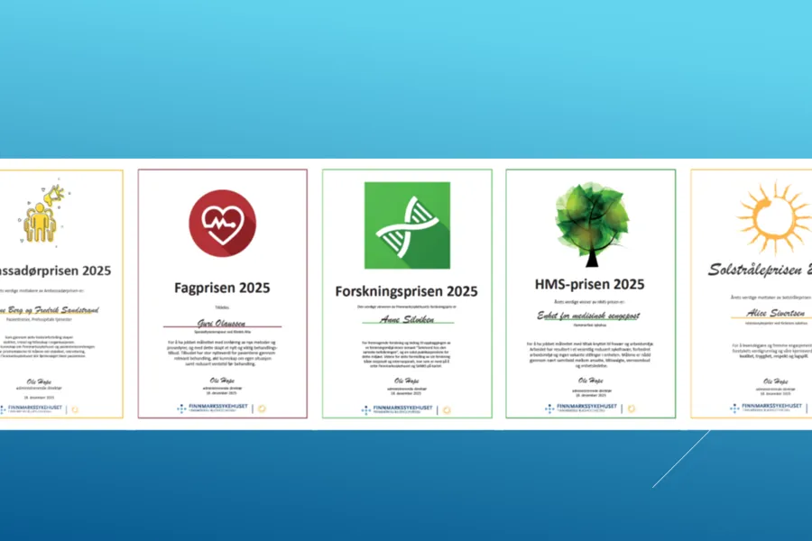 Montasje med årets diplomer.